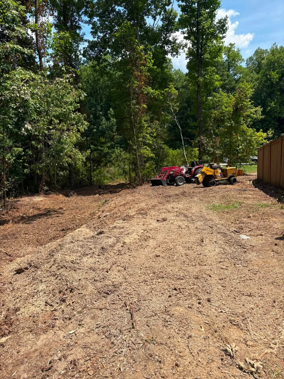 After: another view of the cleared yard and remaining trees
