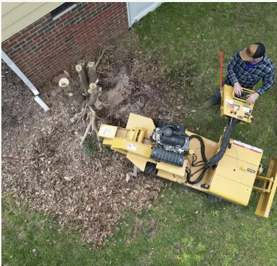 Overhead view of Arbor Grind equipment and operator beside a tree stump