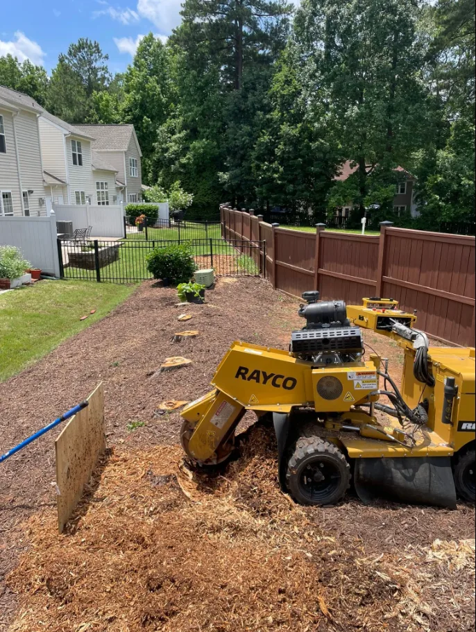 Stump grinding equipment beside a residential garden