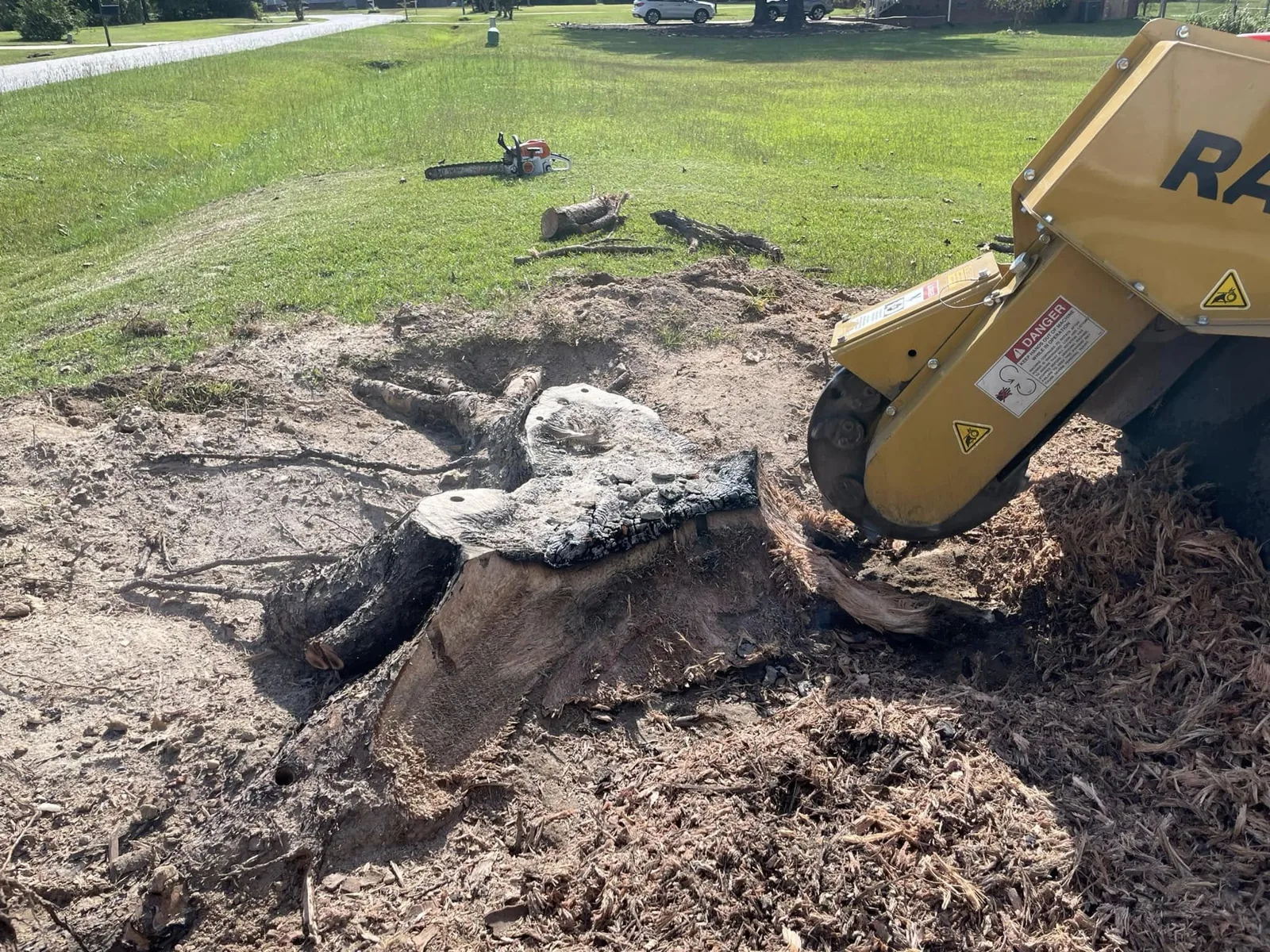 Grinding a stump beside a grassy yard