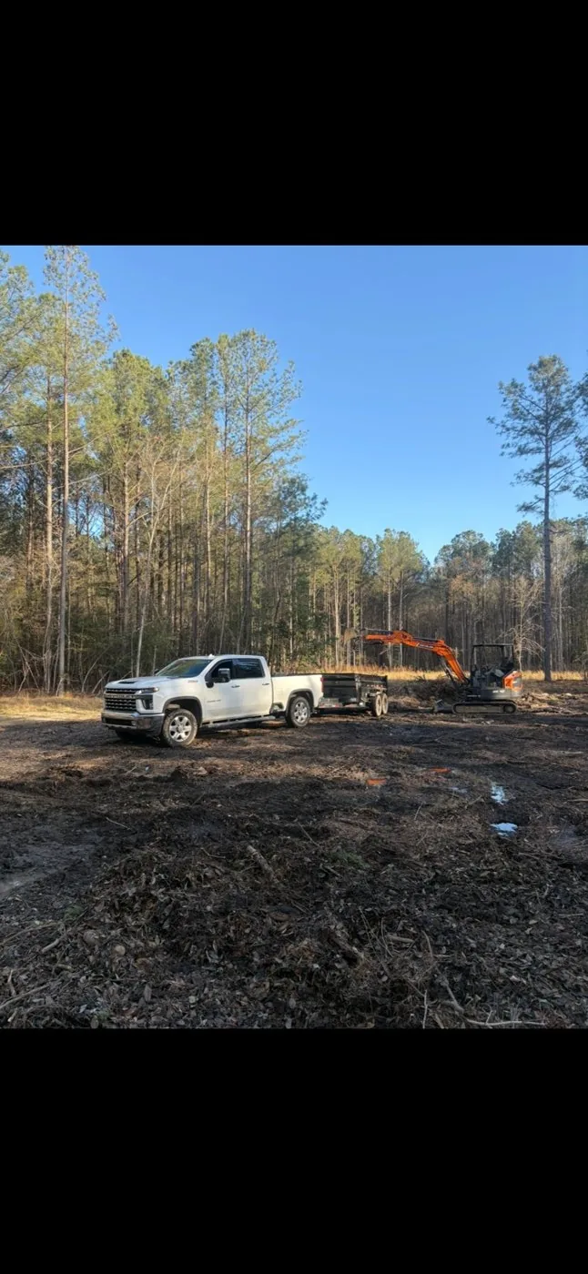 Cleared outdoor work area surrounded by trees