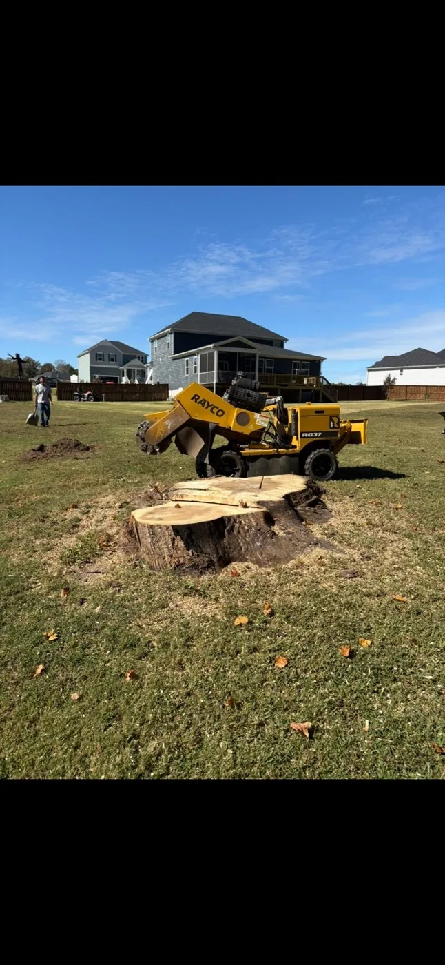 Stump grinder beside a large stump in a residential yard