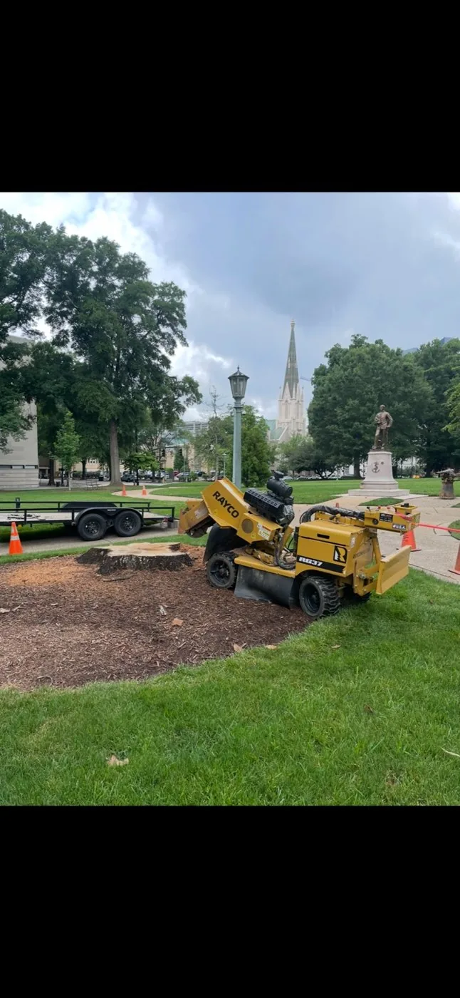 Stump grinding equipment at a landscaped site