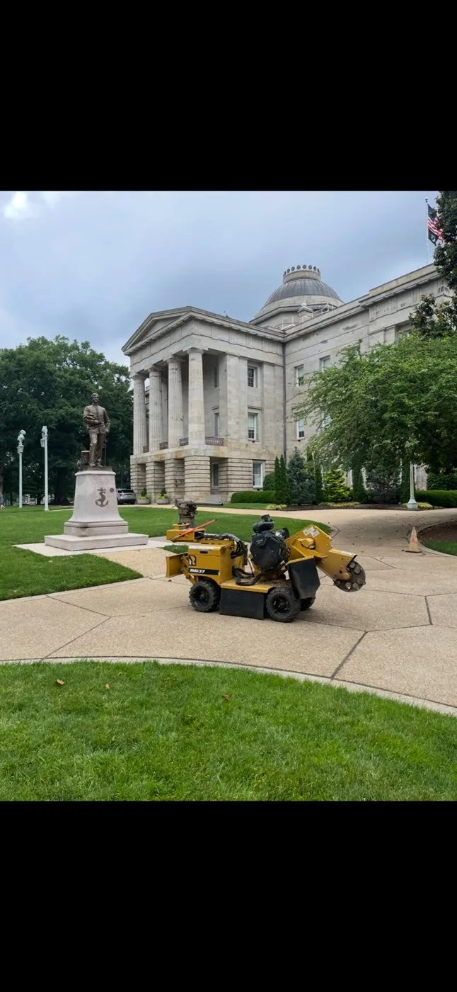 Stump grinder at a property with mature trees