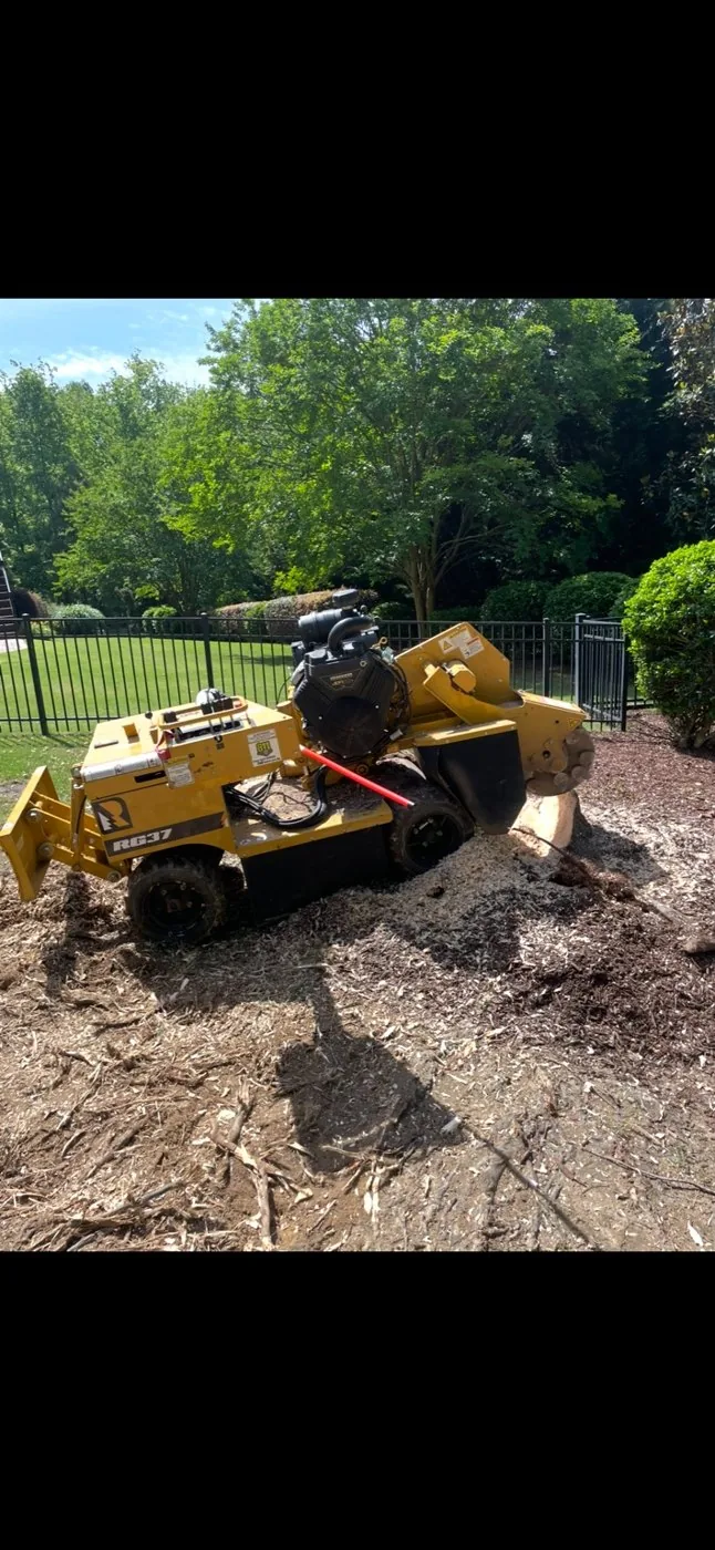 Stump grinding in a backyard