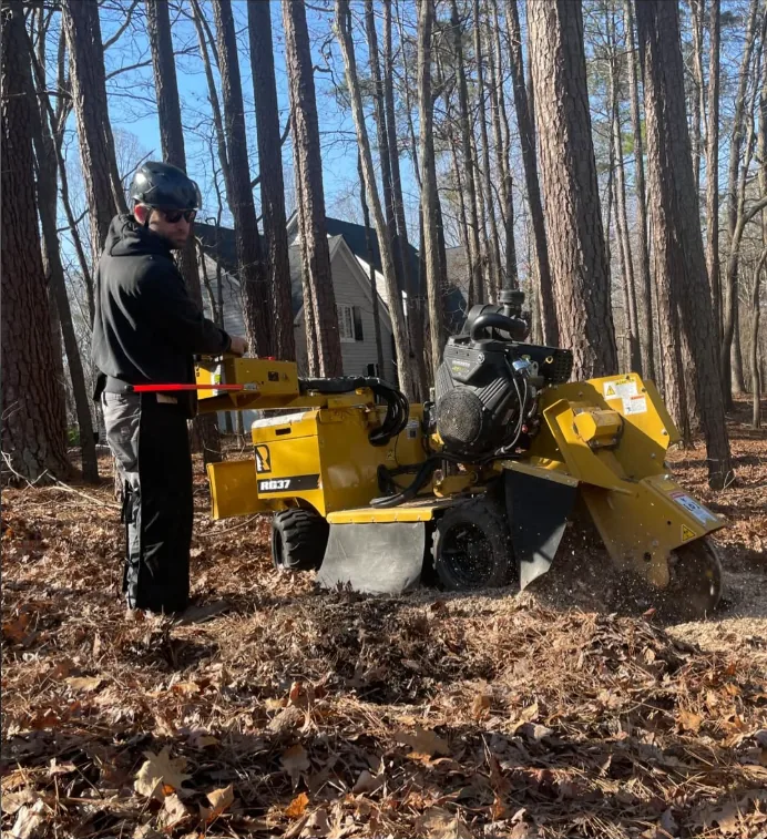 Taylor operating a yellow stump grinder in a wooded area
