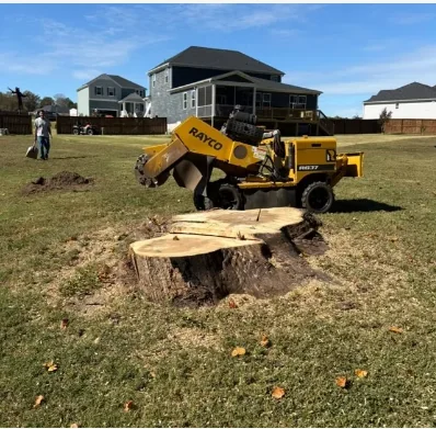 Stump grinder beside a large stump in a residential yard