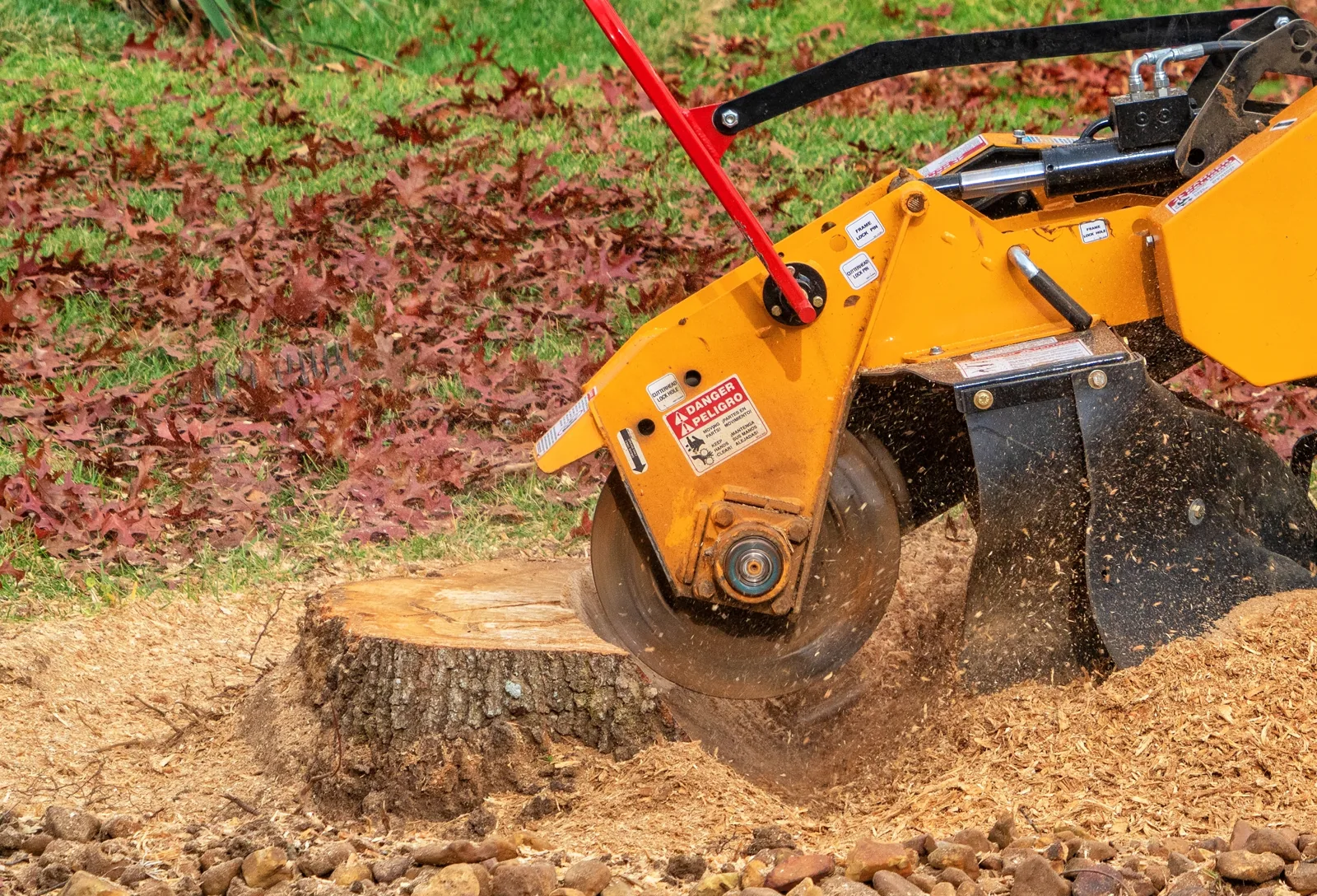 A stump grinder breaking down a tree stump